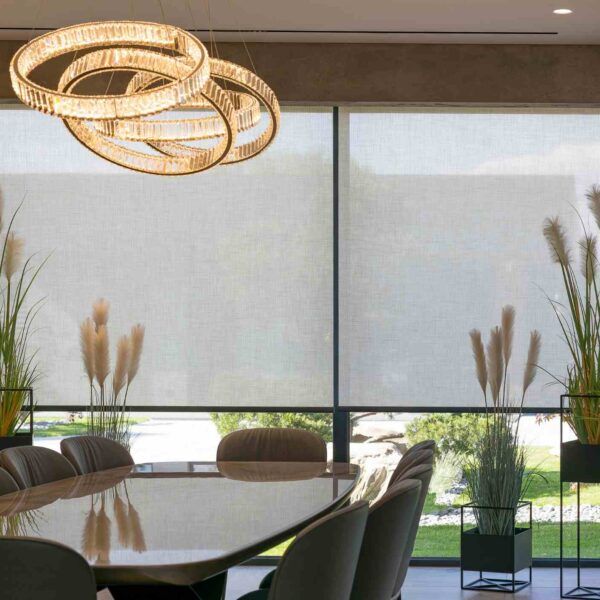 Store intérieur rouleau salon grande baie